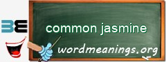 WordMeaning blackboard for common jasmine